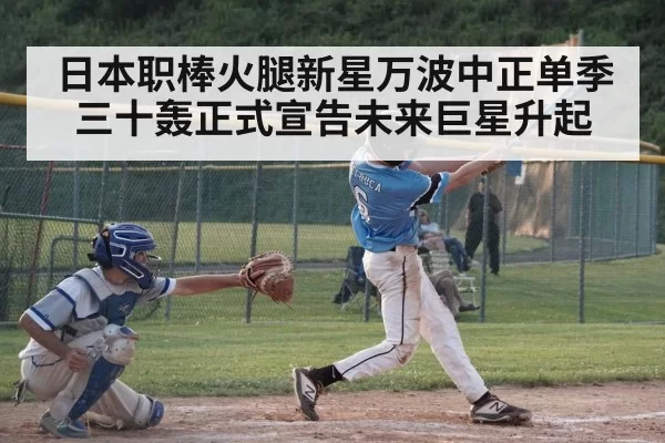 日本职棒火腿新星万波中正单季三十轰正式宣告未来巨星升起